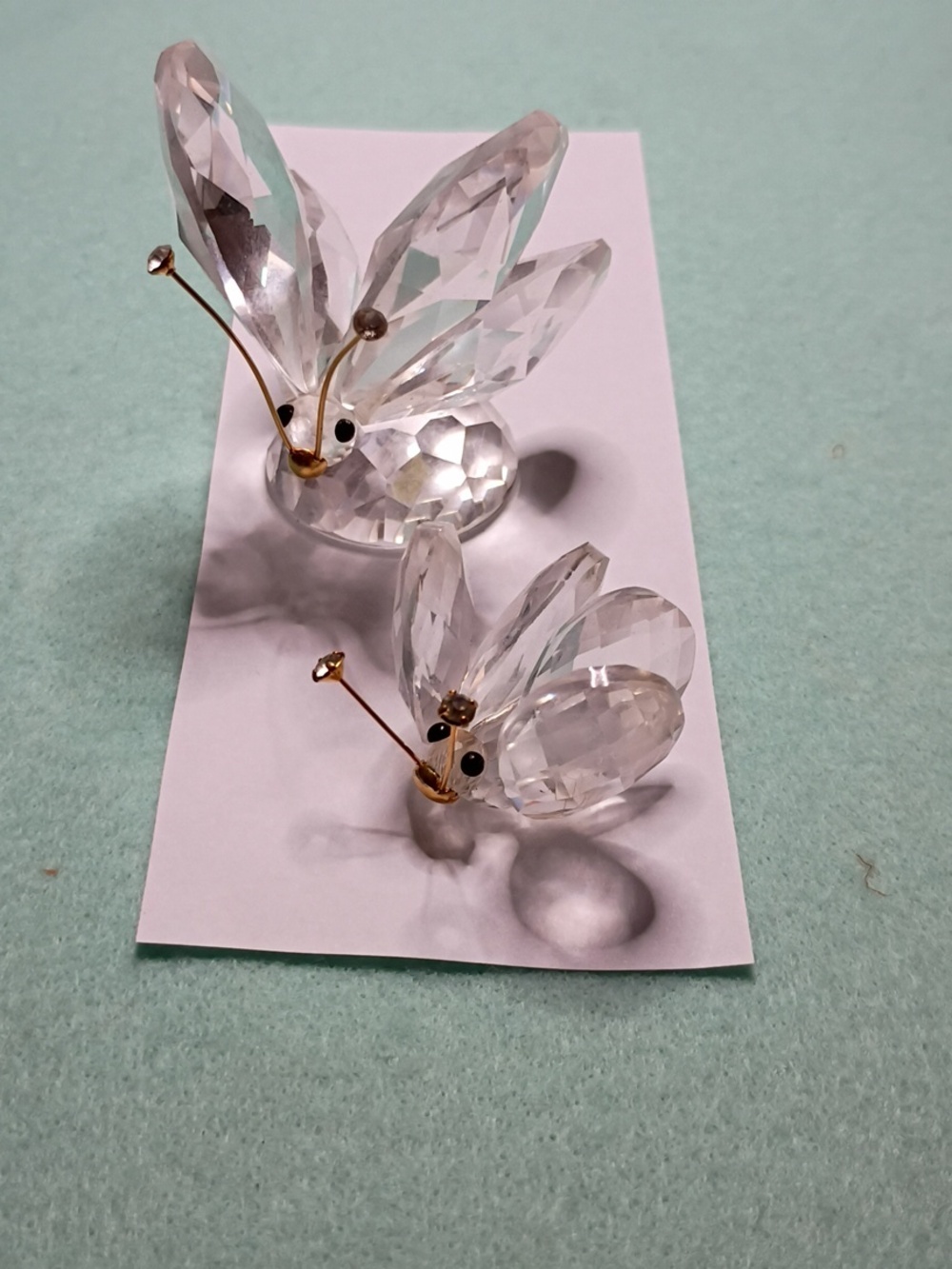 Swarovski Crystal Butterflys (2) Figurine - Clear Glass Accent
